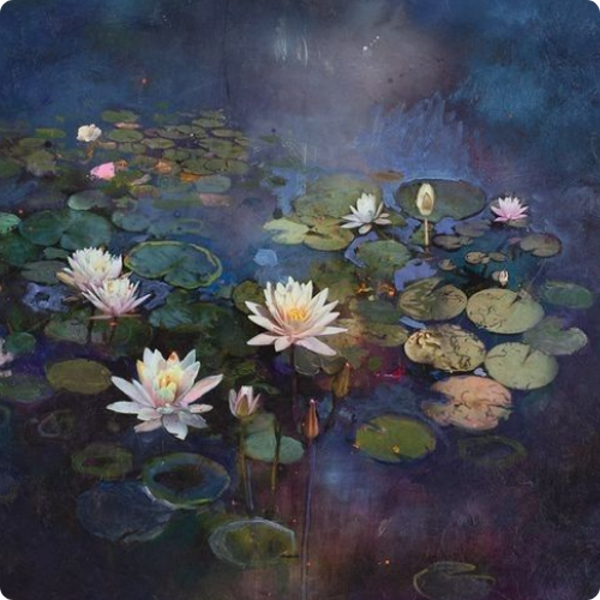 Seerose
