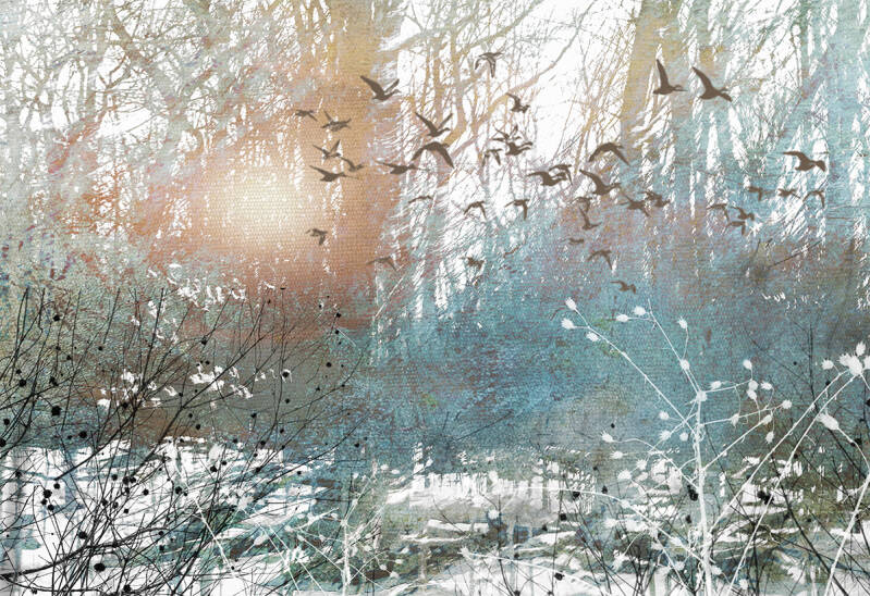 foret-bleu-soleil_low-standard.jpg