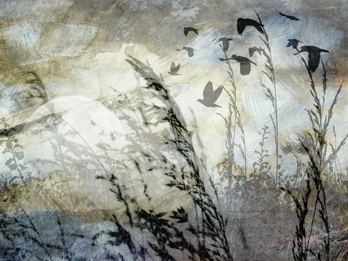 création numérique,photographie créative,création,image,photoshop,art,