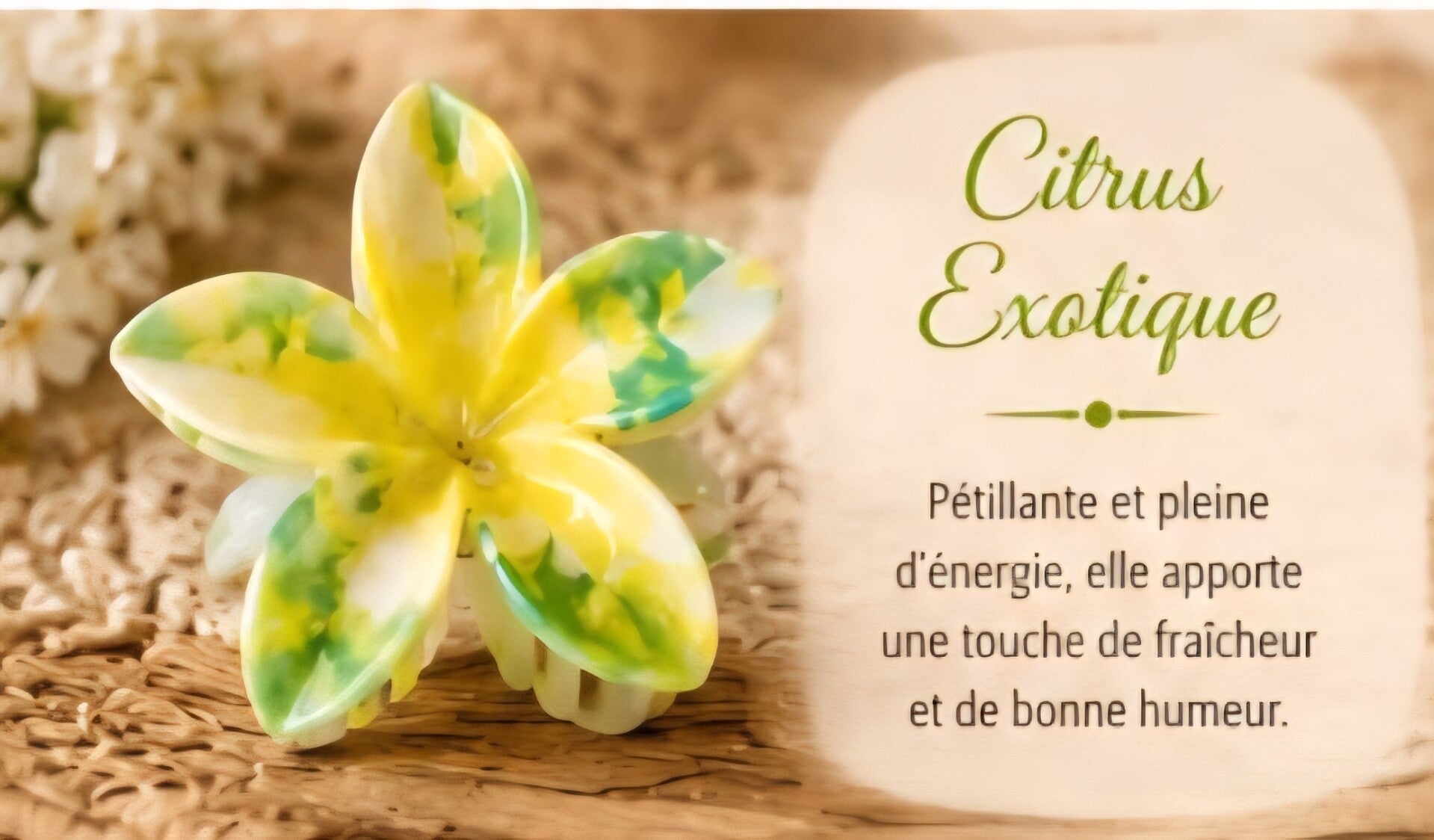 Pince cheveux