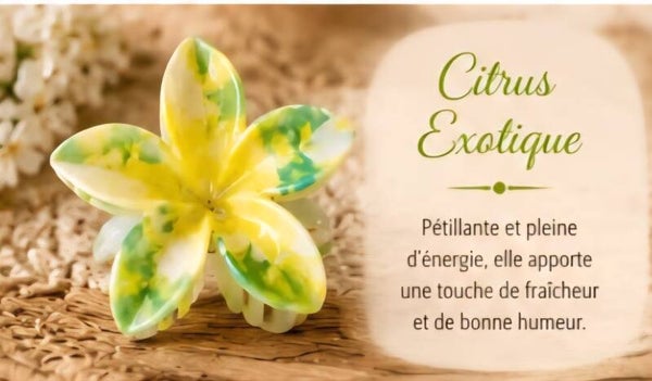 Pince cheveux