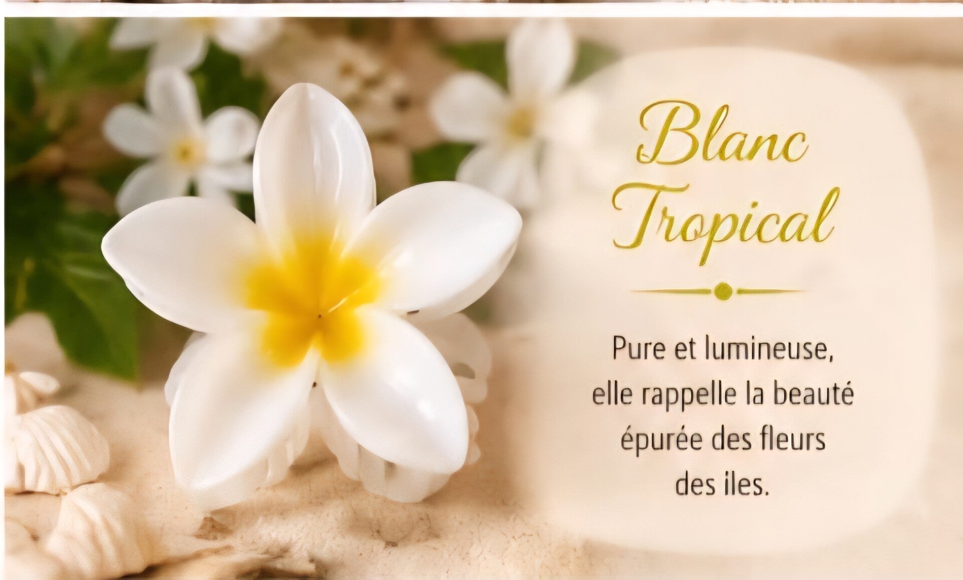 Pince cheveux