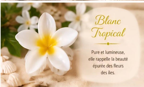 Pince cheveux