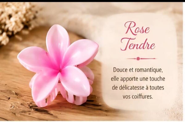 Pince cheveux