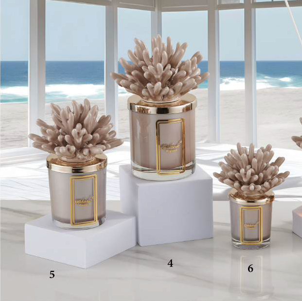 Actinia Bougie Taupe