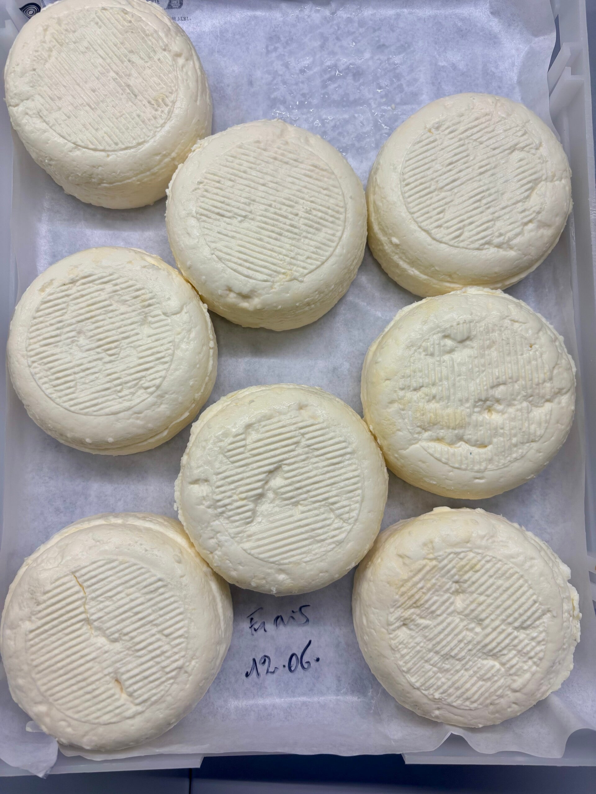 Petit soleil frais