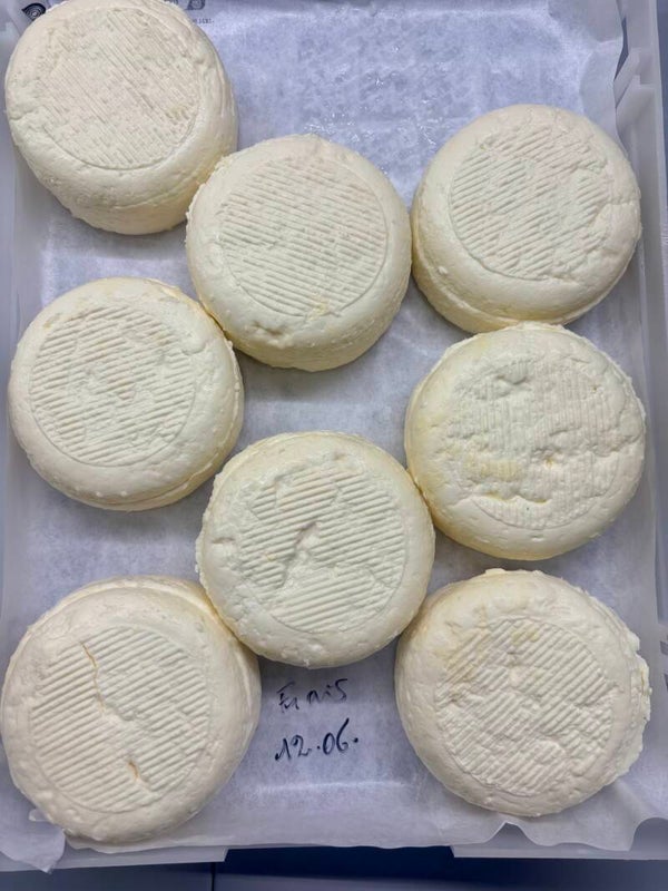 Petit soleil frais
