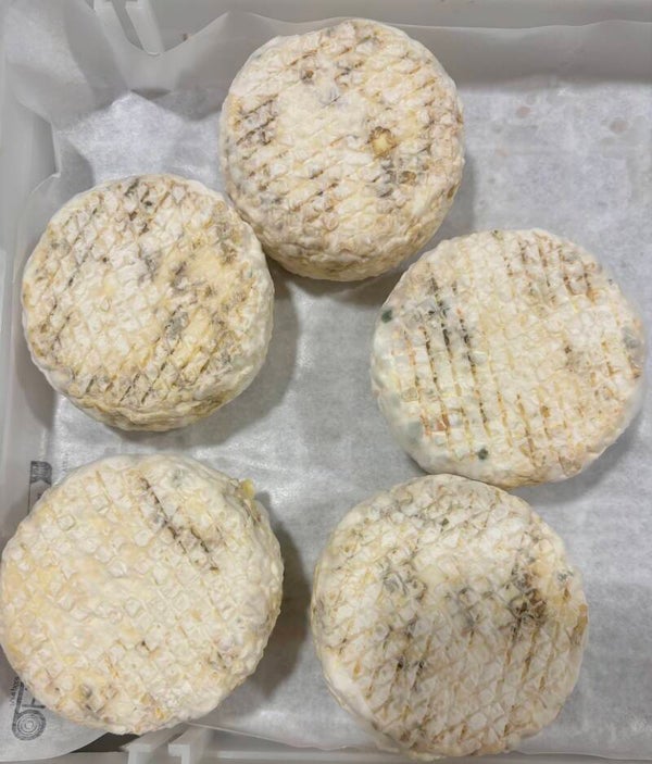 Petit soleil demi-sec