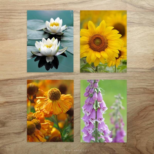 Workshop bloemen tekenen - Zaterdag 23 mei 2026