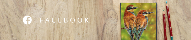 Facebook | Pam Slaats Art