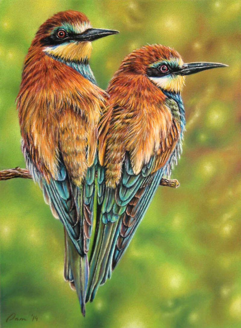 Bee eaters | Pam Slaats Art