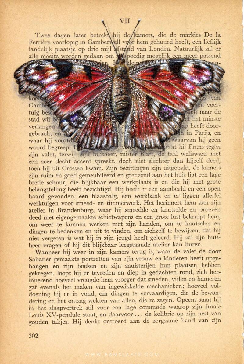 Butterfly | Pam Slaats Art