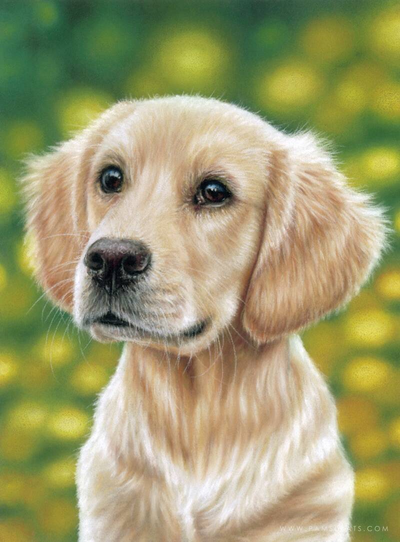 Daya | Pam Slaats Art