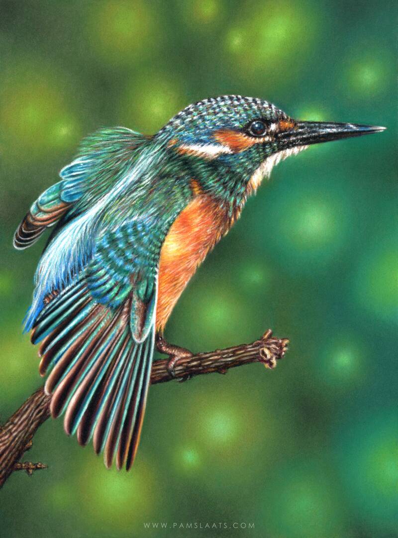 Freedom | Pam Slaats Art