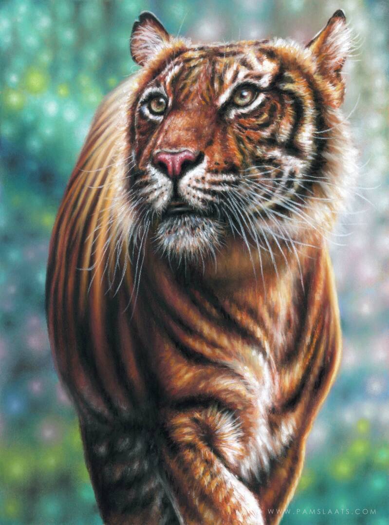 Guidance | Pam Slaats Art