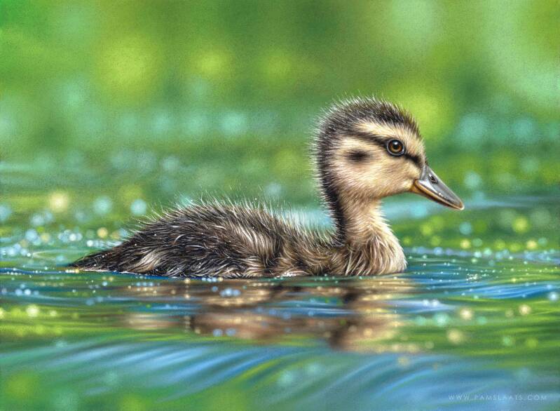 Healing Waters | Pam Slaats Art