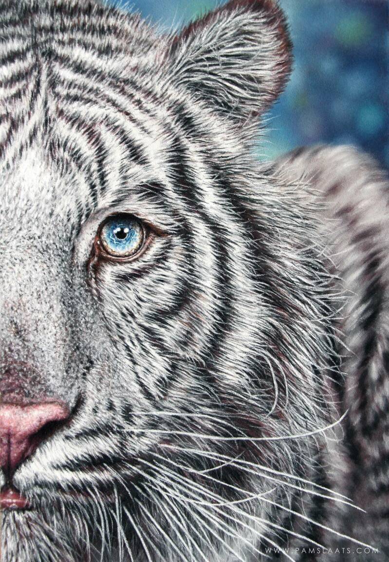 Innocence | Pam Slaats Art