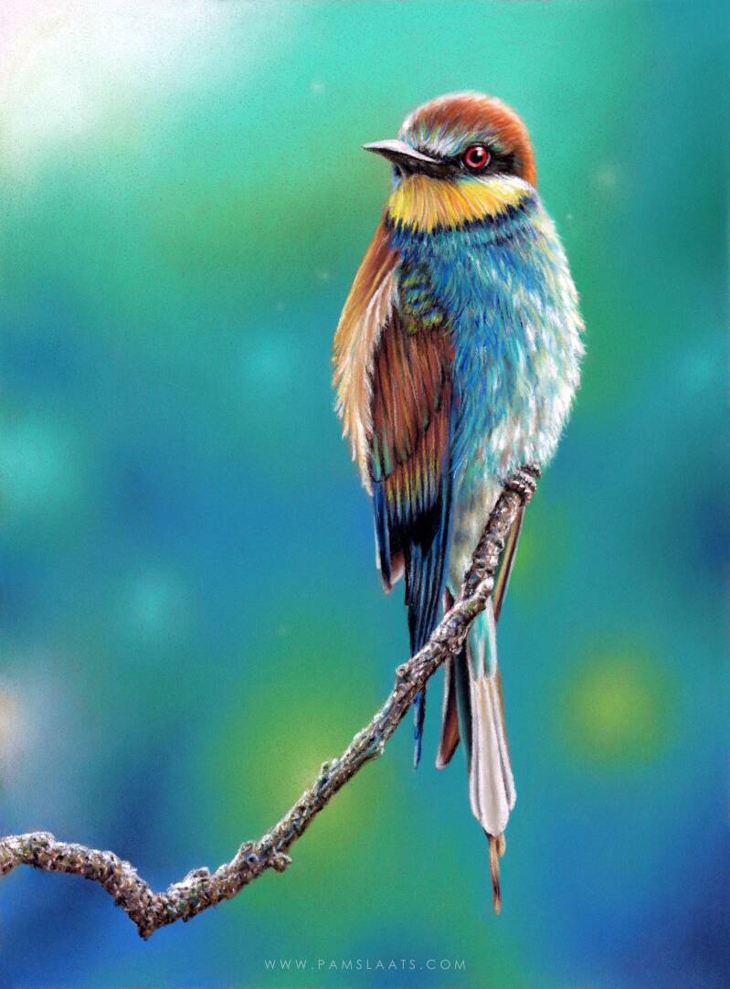 Serenity | Pam Slaats Art