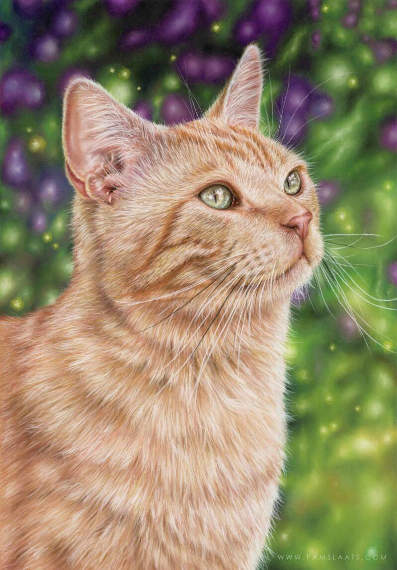 Thoughts of Wonder | Pam Slaats Art