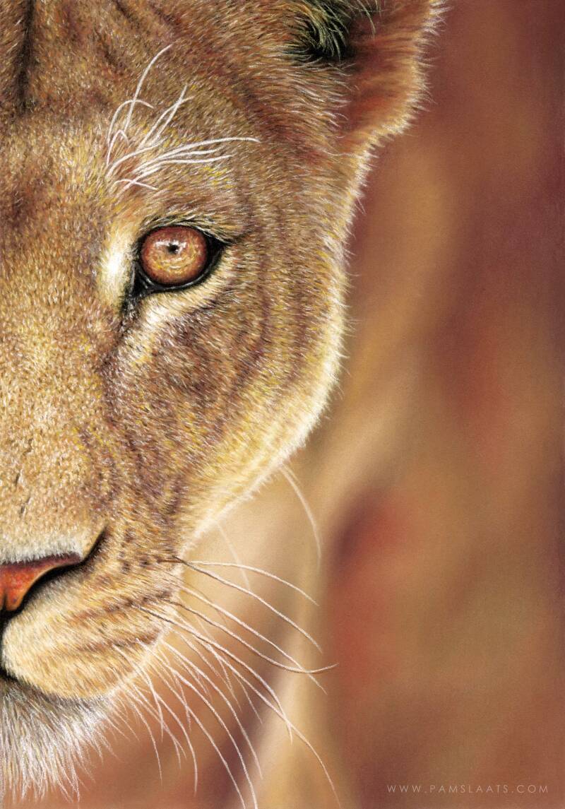 Wisdom | Pam Slaats Art