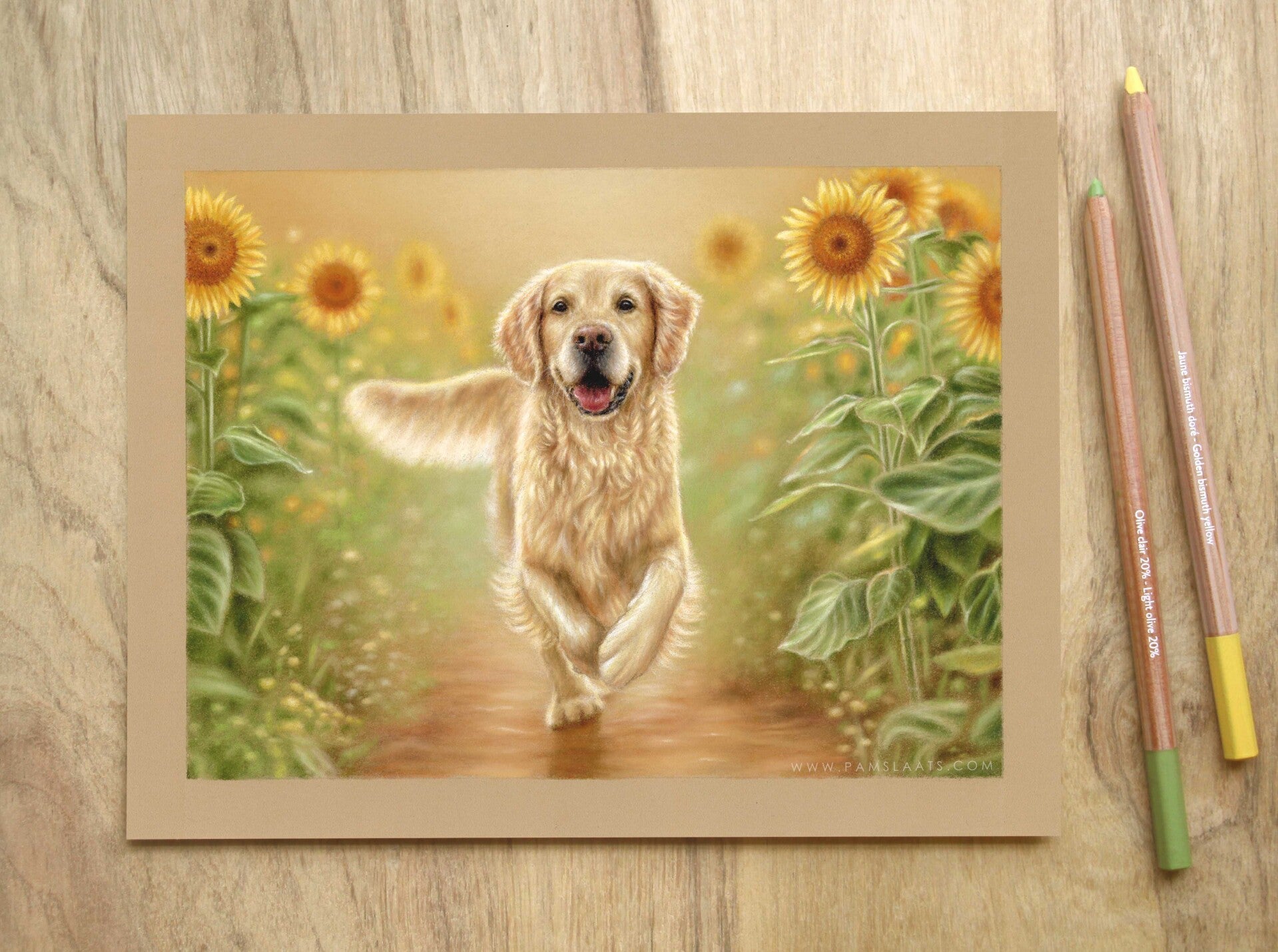 Cursus - Tekenen met Pastel