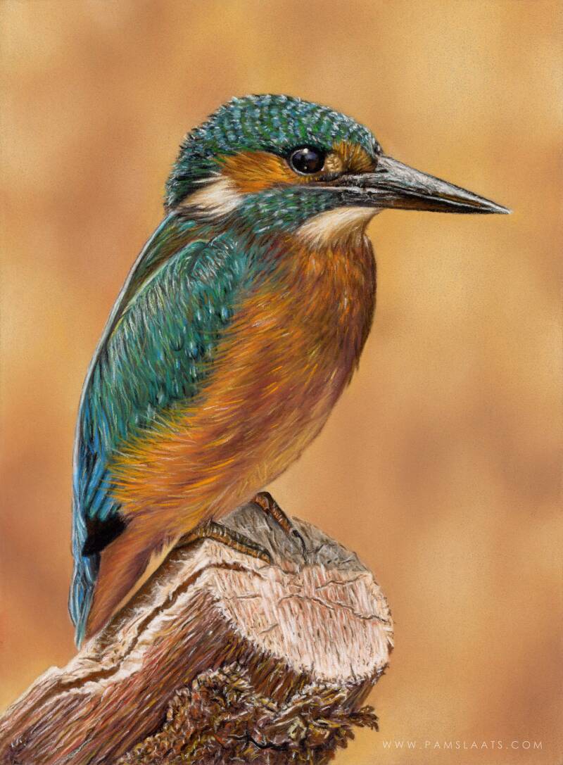 Kingfisher