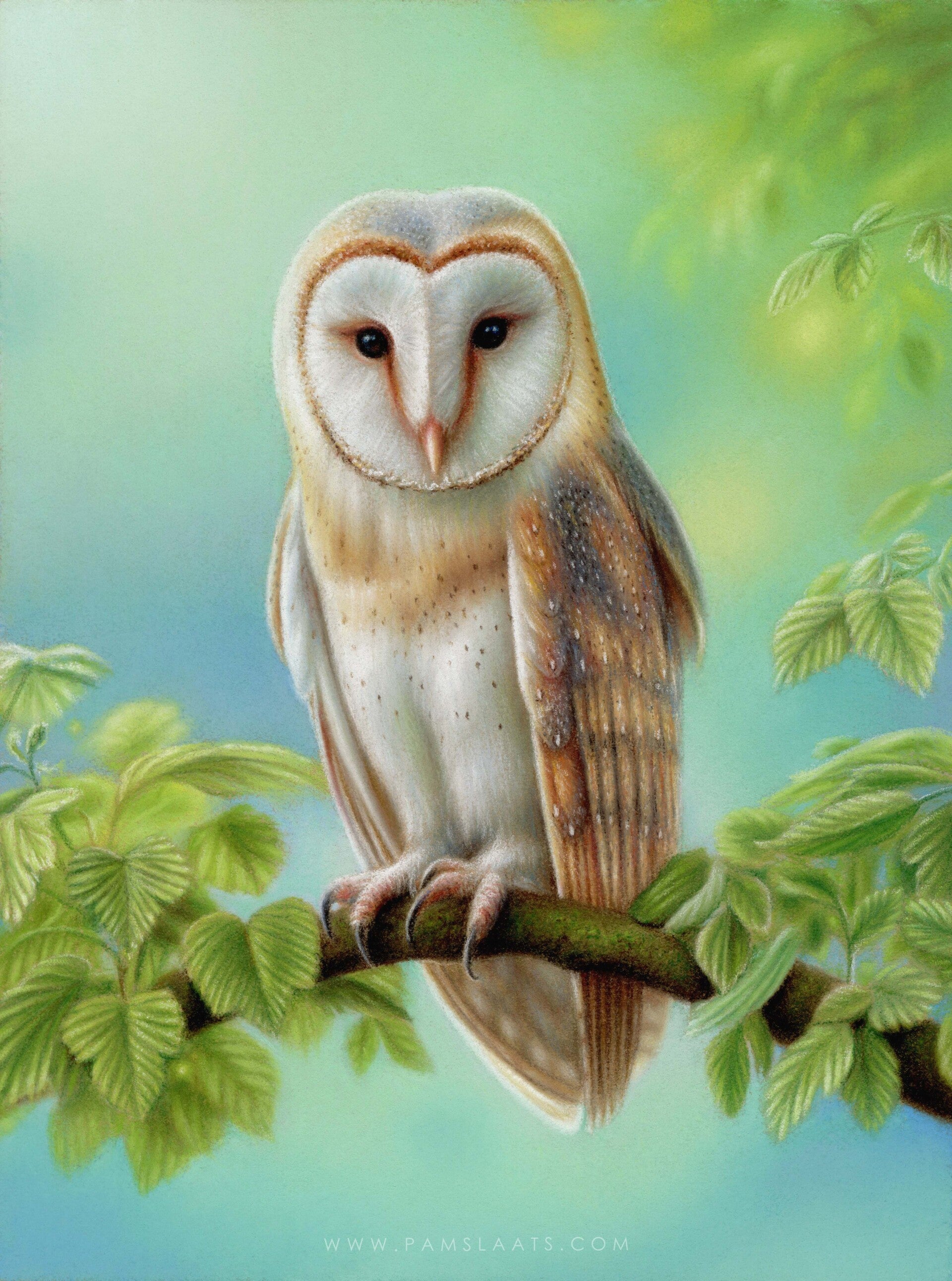 Colored pencil & conté | Pam Slaats Art