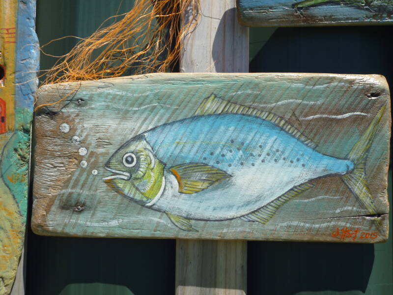 fish-standard.jpg