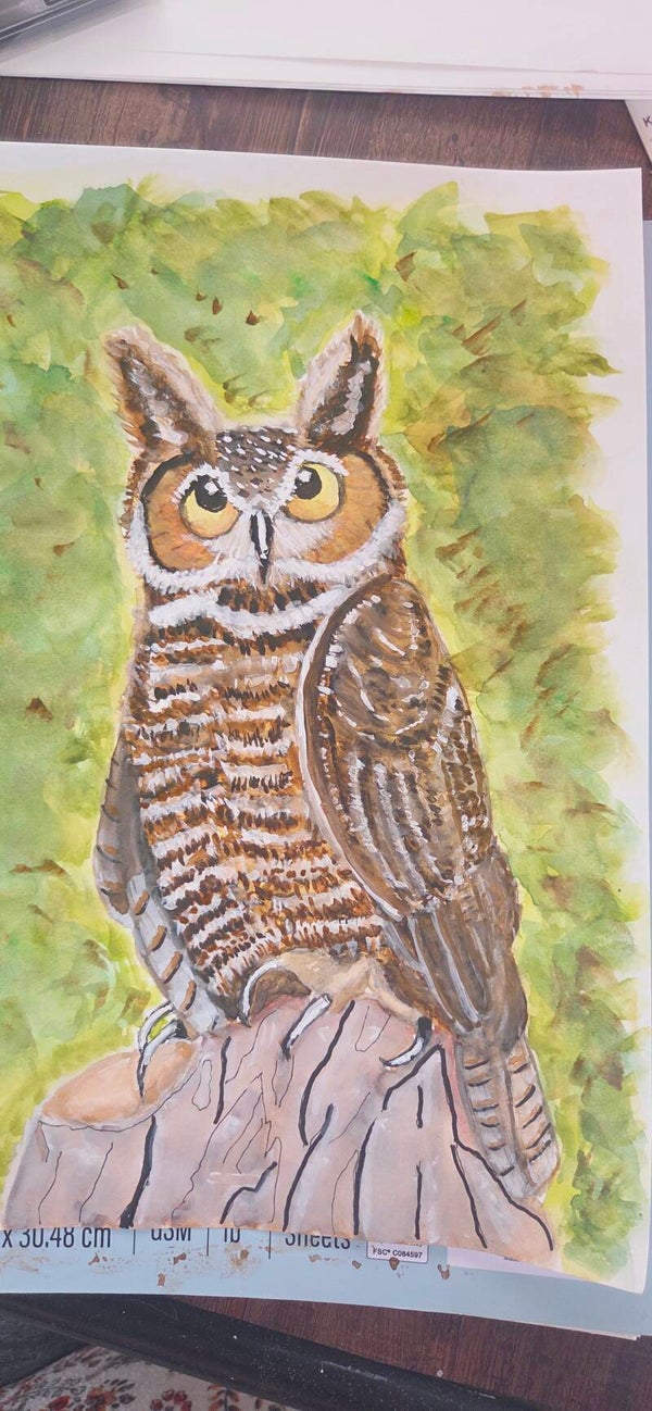 Owl digital