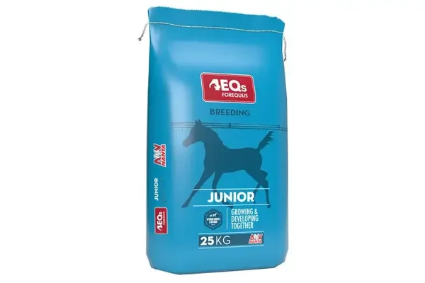 4EQs Breeding Junior