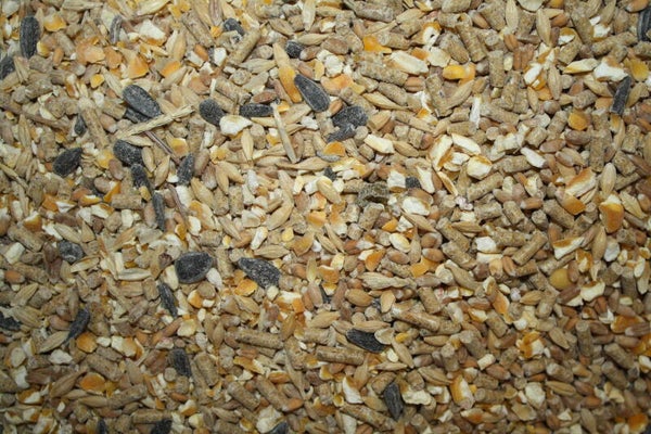 AVES CHAMPION MIX CON PIPAS 25KG