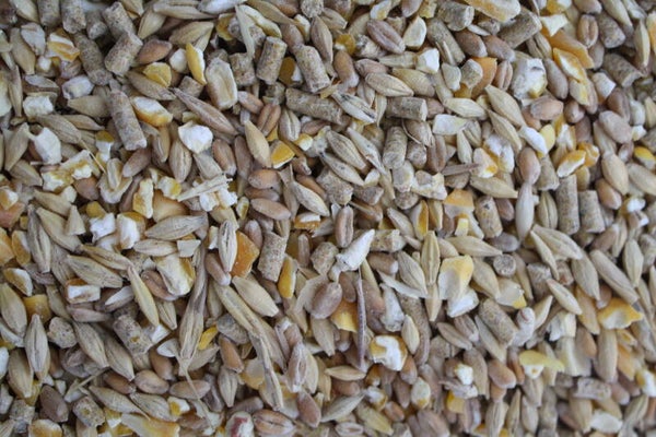 AVES CHAMPION MIX 25KG