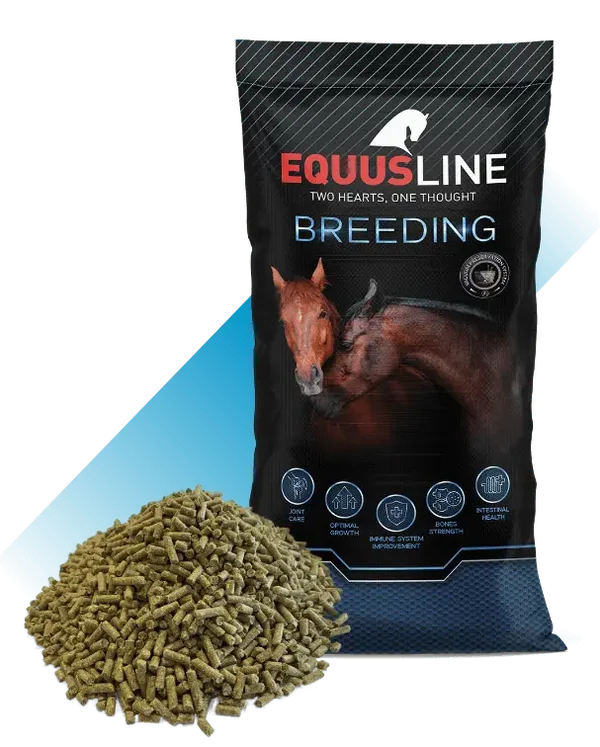EQUUSLINE - FOALS & MARES