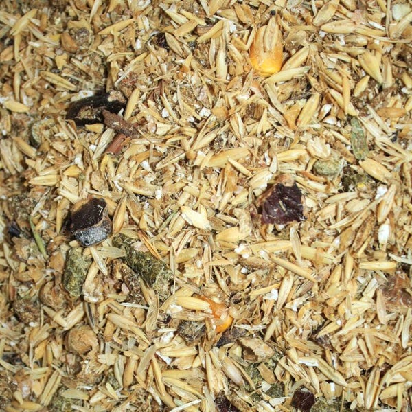 Caballos Deportivos Florida