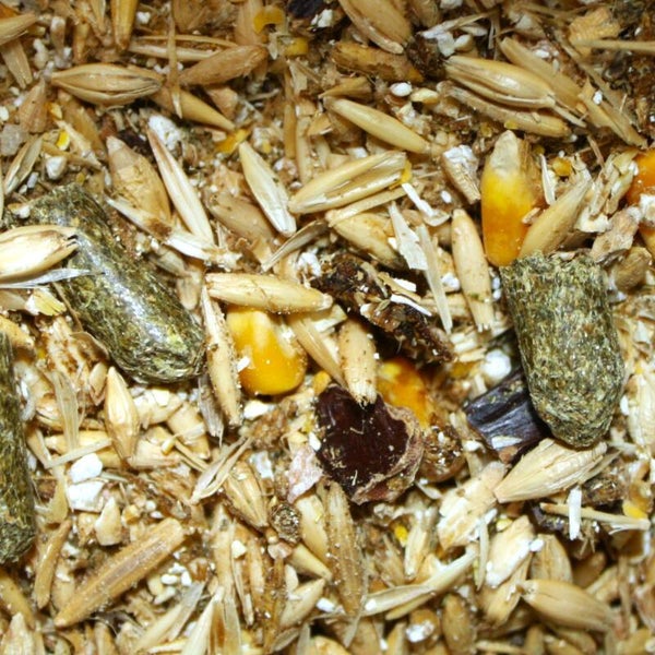 Caballos Deportivos Mantenimiento