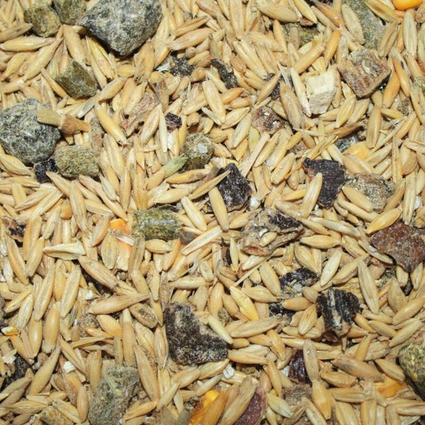 Caballos Deportivos Zero Smash