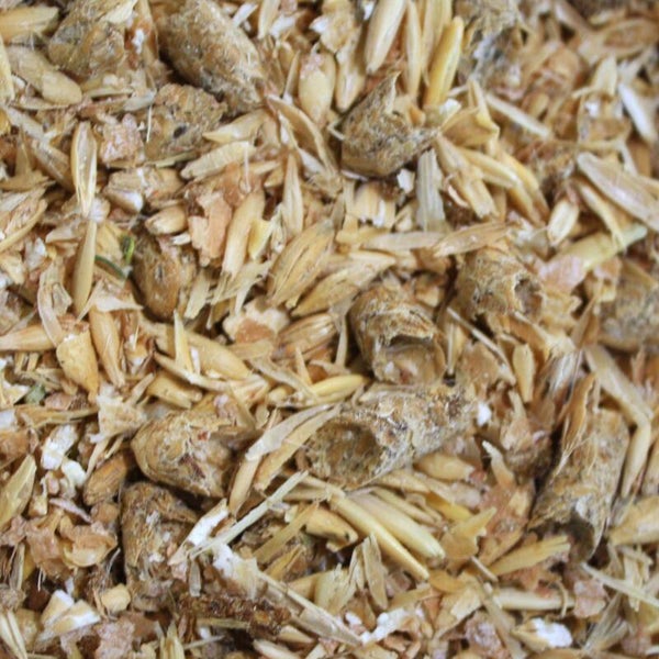 Caballos Deportivos Especial