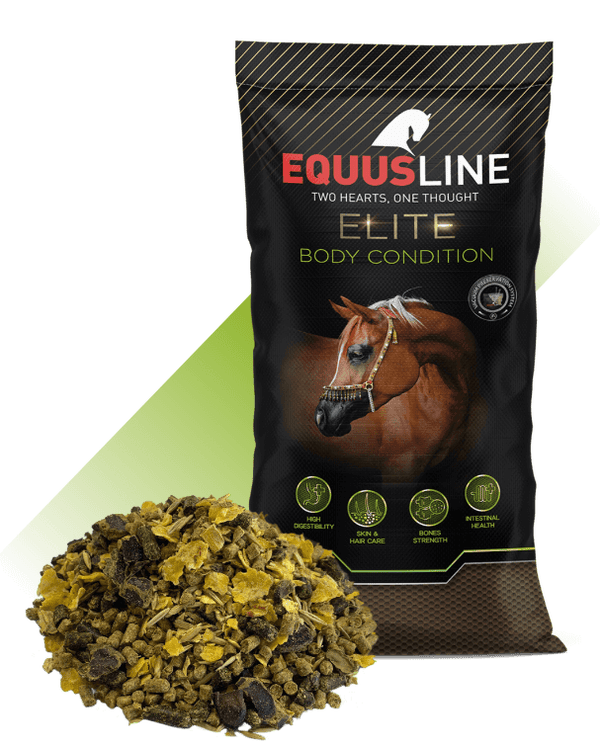 EQUUSLINE - BODY CONDITION MIX