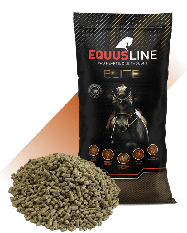 EQUUSLINE - HIGH COMPETITION