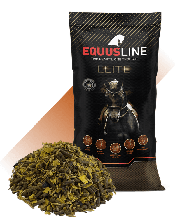 EQUUSLINE - SPORT HIGH ENERGY MIX