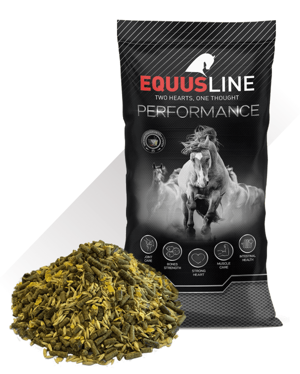 EQUUSLINE - SPORT MIX