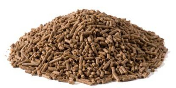 OVEJAS Y CABRAS ALTO RENDIMIENTO GS