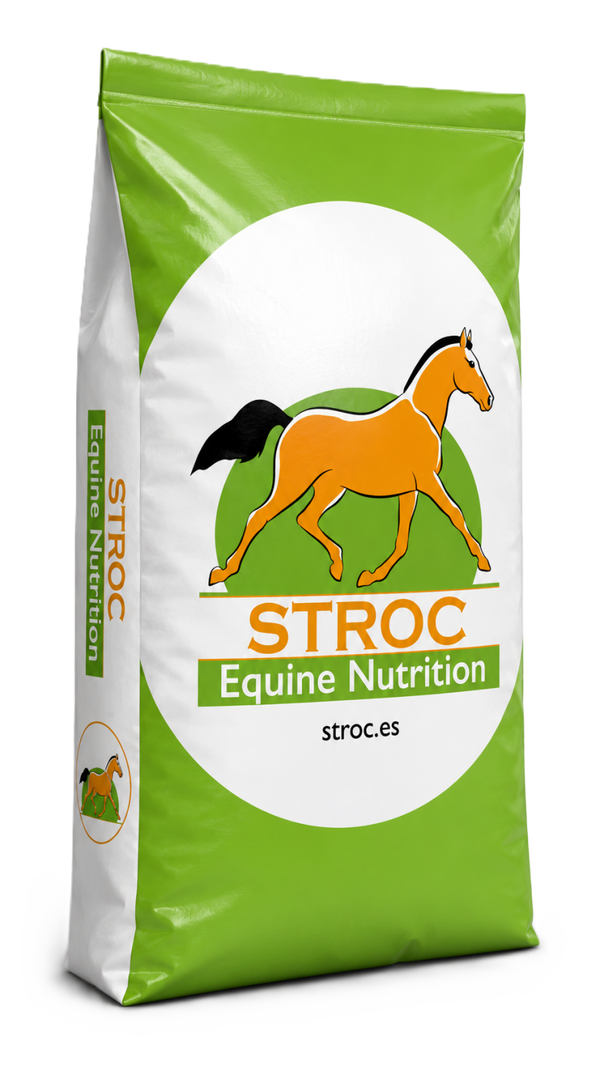Stroc M&F GLOBAL FASE II