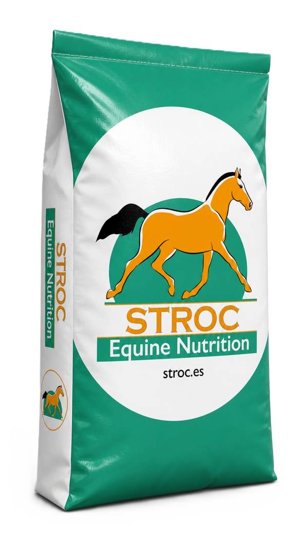 Stroc ONE