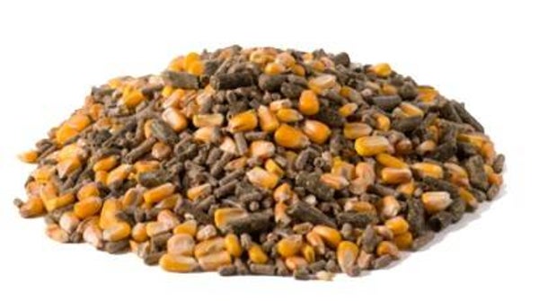 NUTRIFEED OVEJAS 800 MS