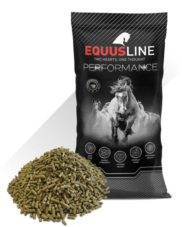 EQUUSLINE - OPTIMA