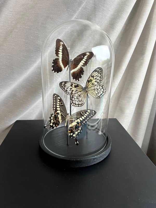 Vlinderstolp Neutraal Mix