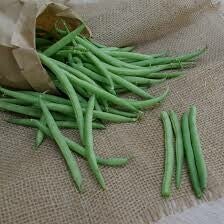 Struikbonen Speedy - UITVERKOCHT