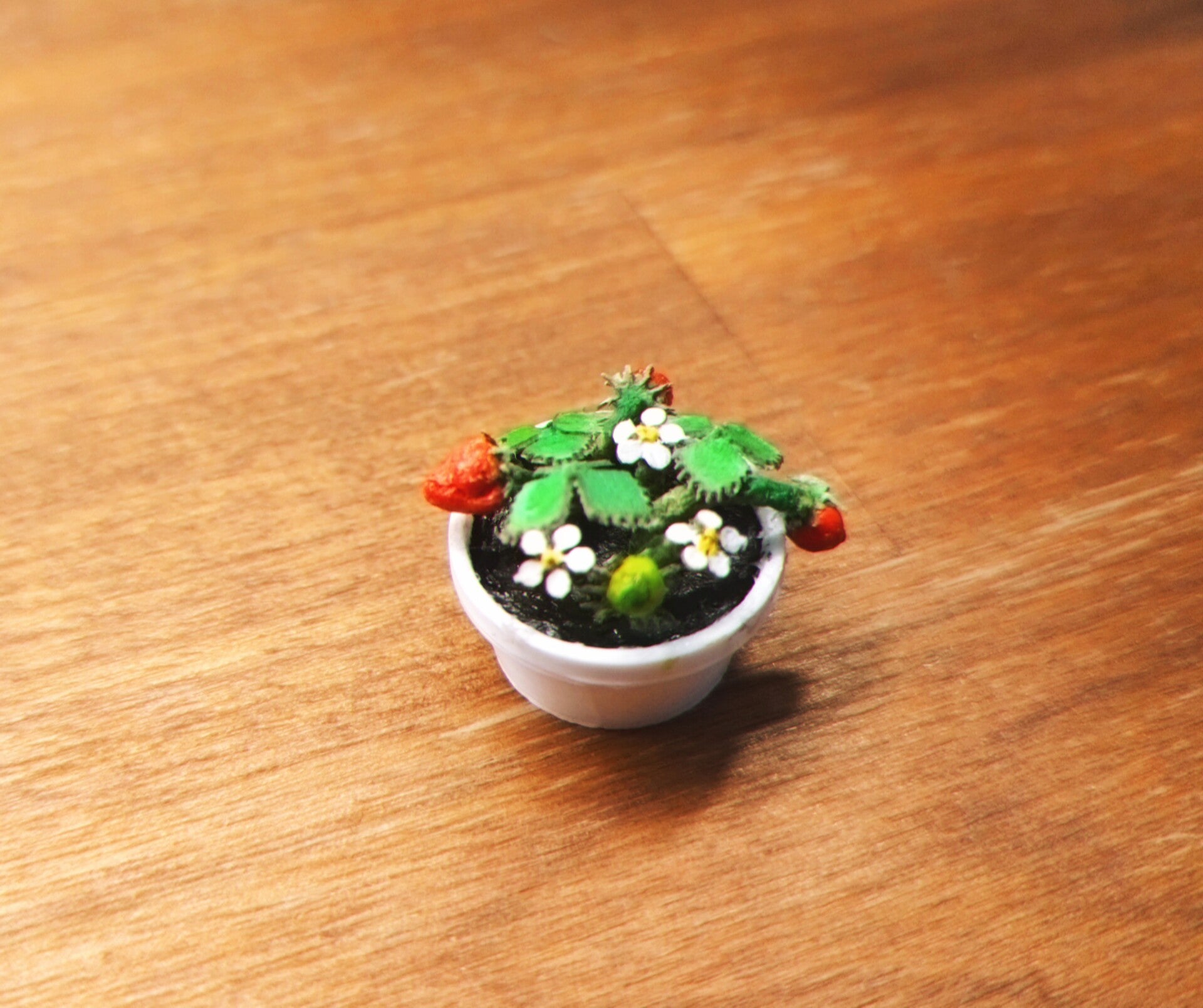 Miniatyr jordgubbsplanta