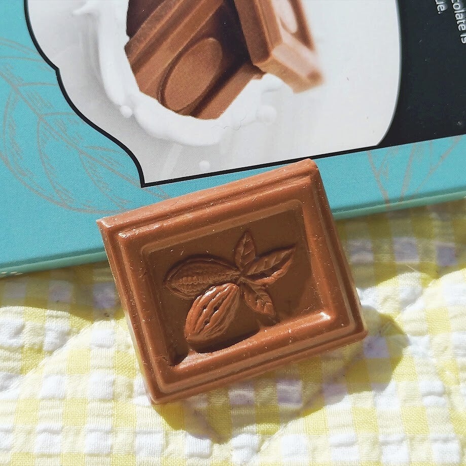 Kylskåp-och-anslagstavla: Chokladbit